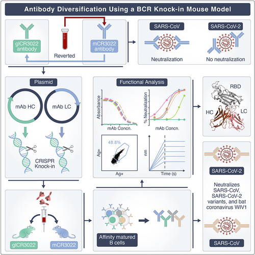 GwEmyf XYAAjIsJ.jpg