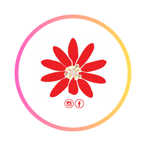 20610579192 TAMBOPATA ADVENTURE S.A.C. SUC1.png