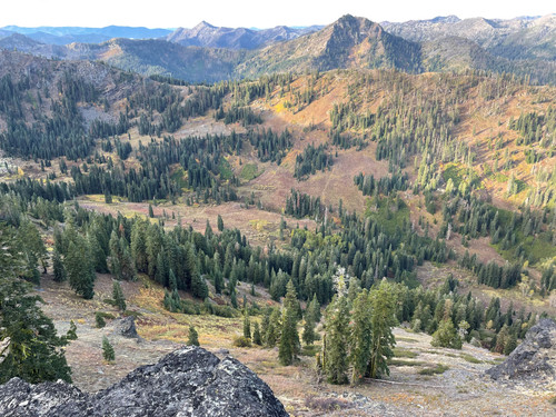 Elk Creek Canyon 2023.jpg