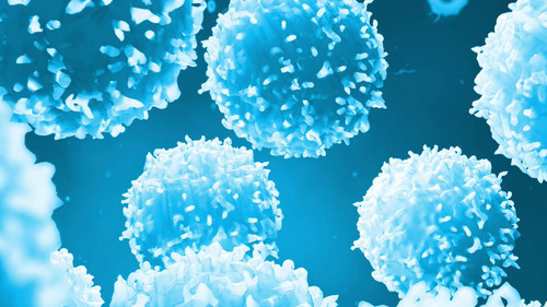 JemHfk0xOG7GZ0 C.jpg