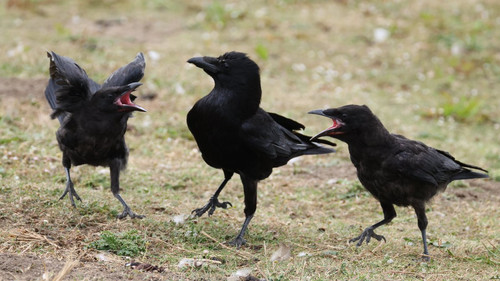 GwCT5uVXQAAw99e.jpg