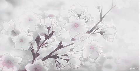 file 9851.jpg