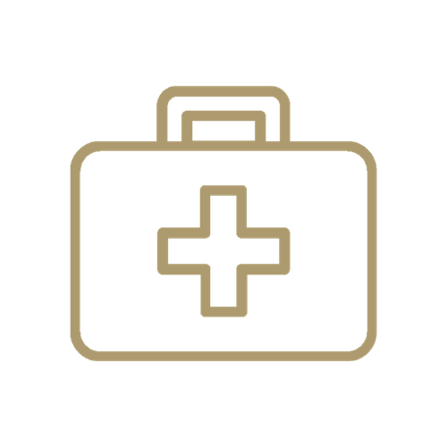 Santé premiers secours icon primary.png