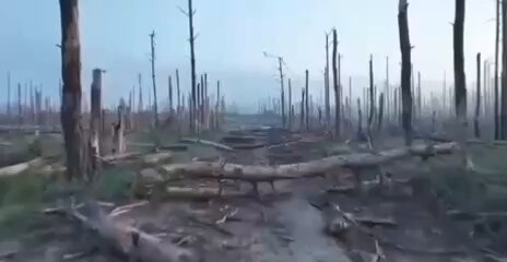 dr8SYURKIHe06soU.jpg