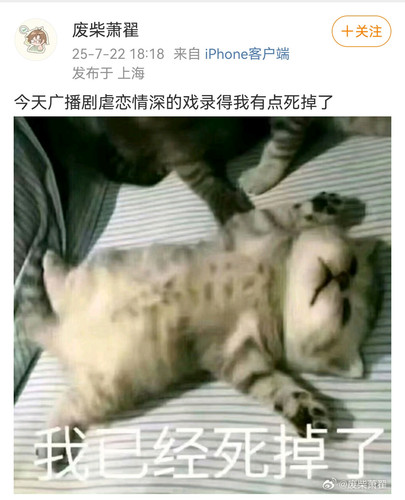 Screenshot 20250807 211058.jpg