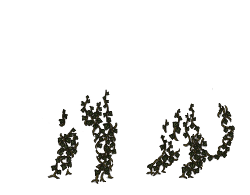 IMG 4952.2