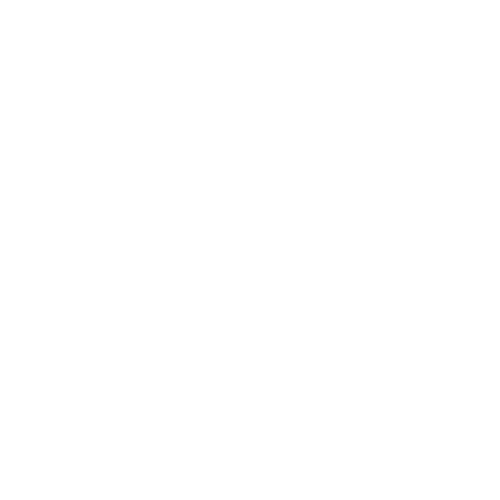 beauté visage icon blanche.png