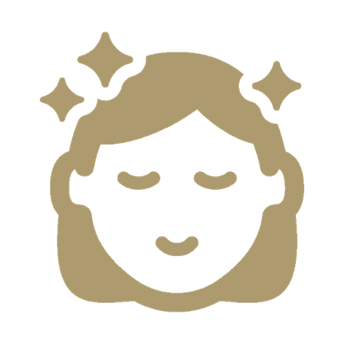 beauté visage icon primary.png
