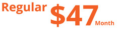 47DollarPriceLeft.1