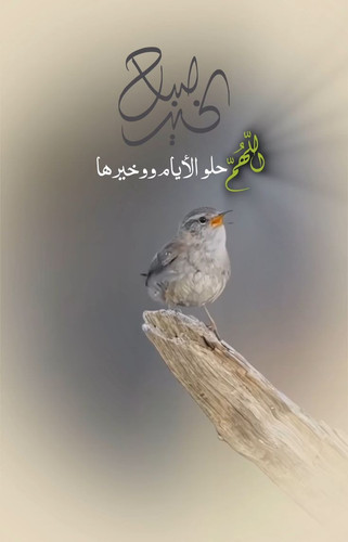 Gxt hCDW0AA7abd.1