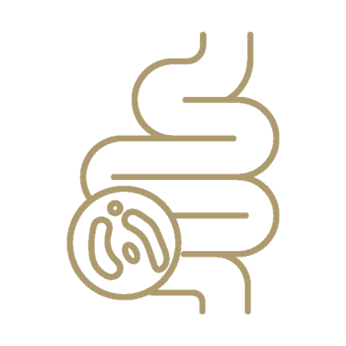 bio nature probiotique icon primary.png