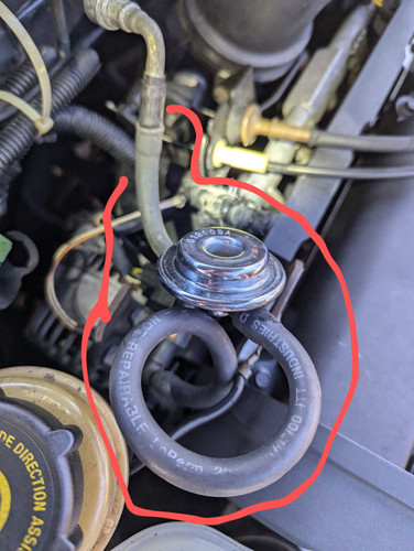 516829705 10228376250342092 135430942483167290 n