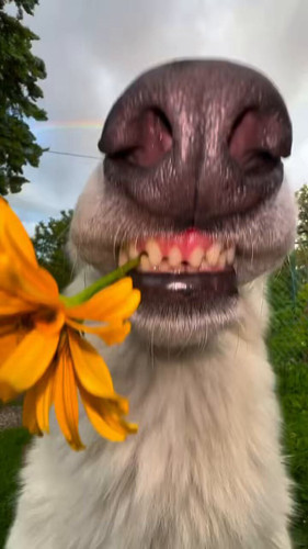  dCEAh6jqwhRcR4n.jpg
