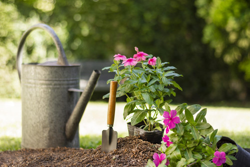 Call us (+1 913-829-4949) for Best Fertilizer Services.jpg