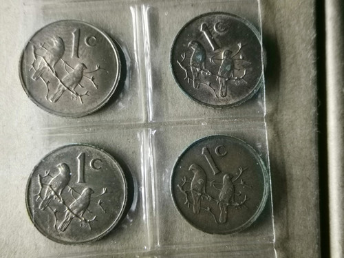 IMG 20250807 WA0029.jpg