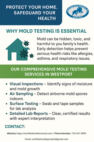 Comprehensive Mold Testing Westport CT Services for a Healthier Home.png