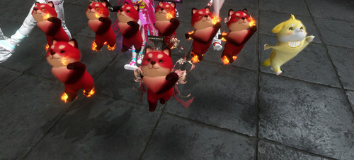 1000013315.jpg