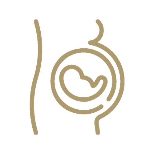 bébé grossesse icon primary.png