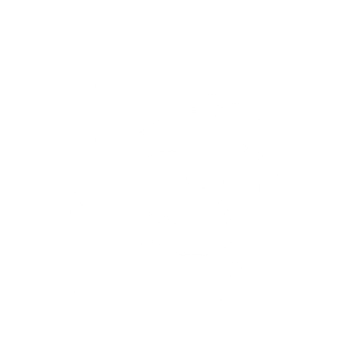 bébé grossesse icon blanche.png