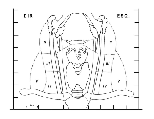 Screenshot 10.png