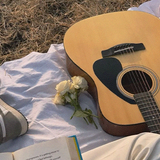 dylan picnic 2.png