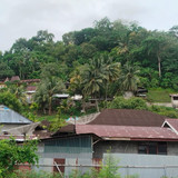 IMG 20250807 WA0001