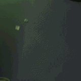 59605883.gif