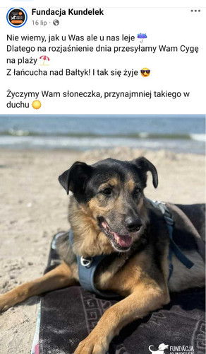 GxsO5UEXAAElKEa.jpg