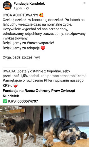 GorRqOcWcAAwxKZ?format=jpg.jpg