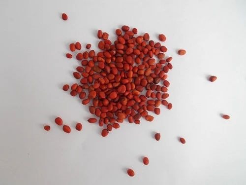 radish seeds 500x500.jpg