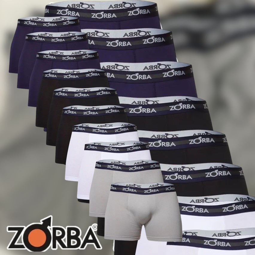 Kit Com 10 Cuecas Boxer Com Elástico Masculina Zorba Oferta