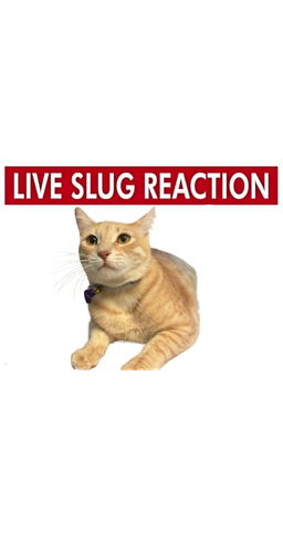 IMG 1011.png
