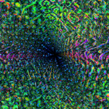 flaky particles