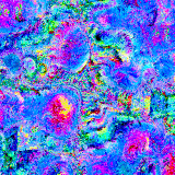 transience is not a flaw, but a wonder