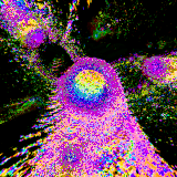 over the speed limit