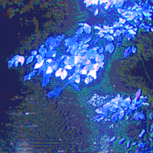 charged by the moonlight