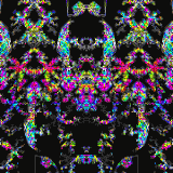 how did you find yourself here