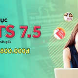 Chinh phục IELTS 7.5 dành cho người mất gốc