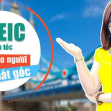 toeic than toc cho nguoi mat goc 1555642013