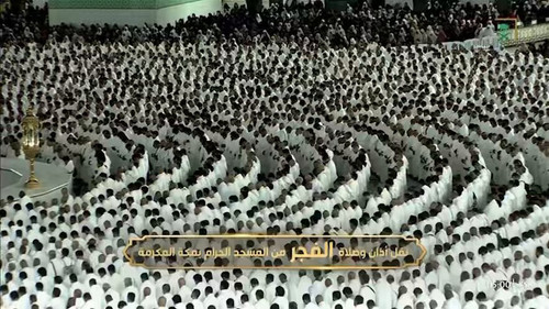 55kEzUnEFF9SYtIs.jpg