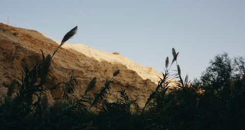 Untitled design (13).png