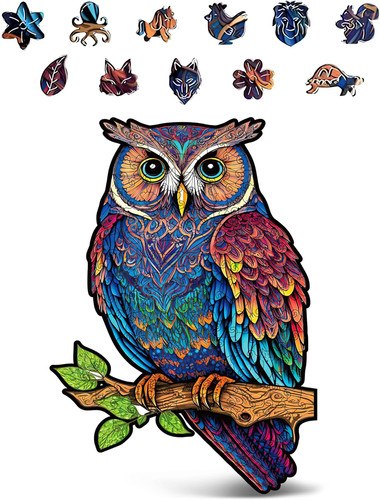 81RXQepv3iL. AC SL1500 .jpg