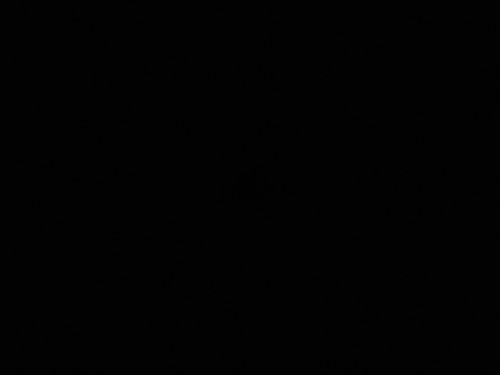 ea13113c08d8.jpg