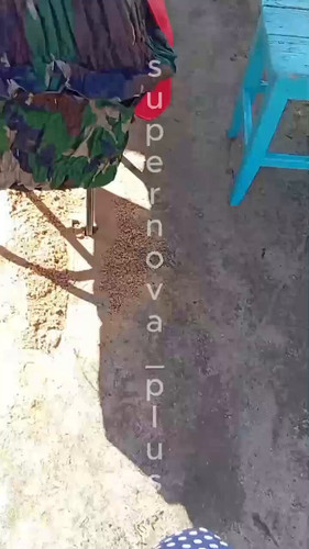 8StHzCjXTo9EOsJi.jpg