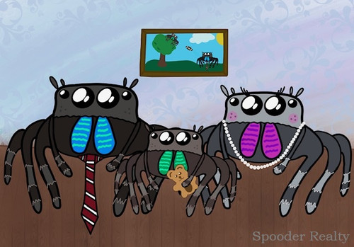 spider family portrait marked.jpg