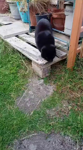 IzrEfmjH uIopFt3.jpg