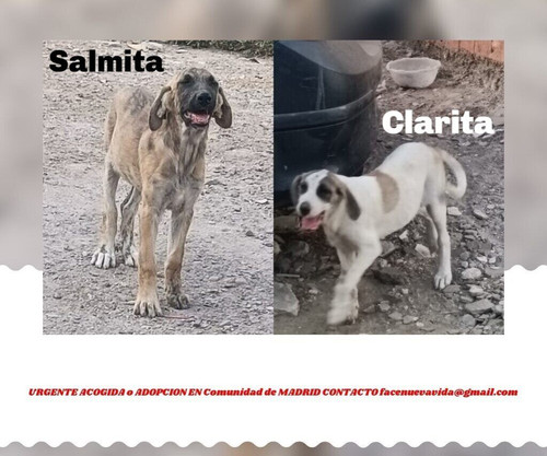 GxwfhegXIAAp Aq.jpg