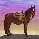 Cinnamon for Wolfrunner Acres