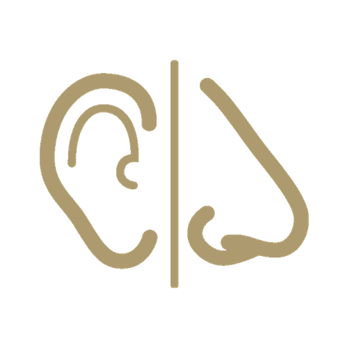 Hygiène ear nose icon primary.png