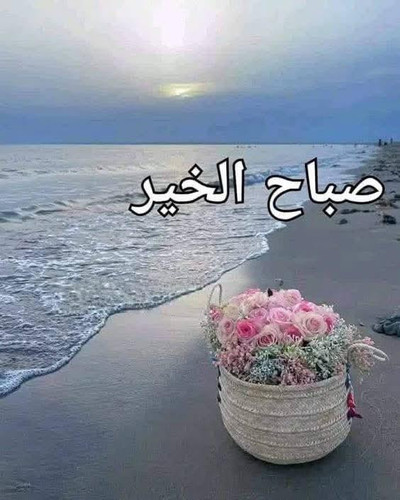 Gxt2F8ZWwAAEZNE.jpg